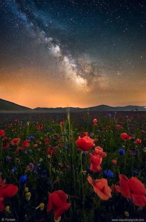 Hotel Europa Норча Экстерьер фото